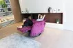 Крісло-релакс-гойдалка NADIA - 10 (preview) Крісло-релакс-гойдалка NADIA - 10 (preview)